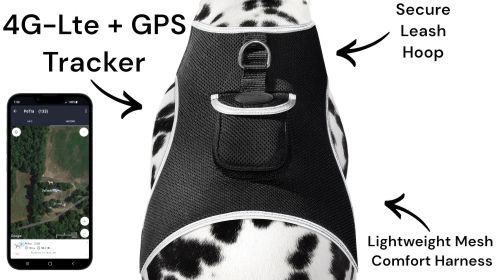 Secure Pet While At Work w/ Waterproof Mini GPS GSM Pet Collar Tracker Size:M