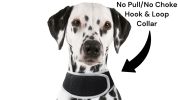 Secure Pet While At Work w/ Waterproof Mini GPS GSM Pet Collar Tracker Size:M