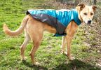 Helios Altitude-Mountaineer Wrap-Velcro Protective Waterproof Dog Coat w/ Blackshark technology